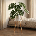 70cm de haut Support Blanc