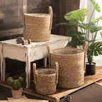 Cache-Pot Tressé Naturel — Panier Décoratif Plantes