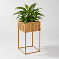 Cache-pot | AIRI
