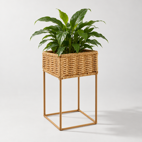 Cache-pot | AIRI