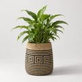 Cache-pot | RINRI